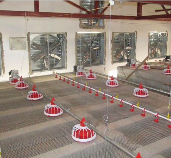 Çiftlik İçin Tam Otomatik Tavuk Yemi Burgu Sistemi Kanatlı Burgu Besleyici 1