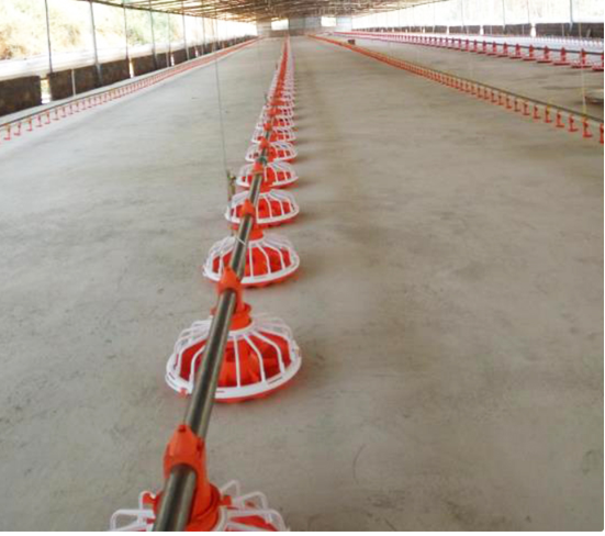 Çiftlik İçin Tam Otomatik Tavuk Yemi Burgu Sistemi Kanatlı Burgu Besleyici 0