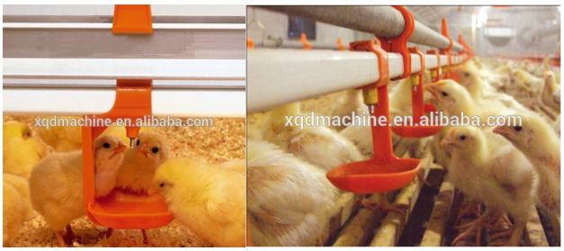 Automatic poultry chicken drink Nipple Drinker water Bowl Dish hang drip Cups for quail broiler