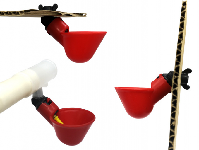 Hayvan Çiftliği Aletleri Otomatik Tavuk Kuş Kümesi Kanatlı Su Suluk Plastik Tavuk Civciv Kümes Nipeli Suluk Damla 7