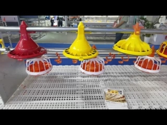 Otomatik Kanatlı Besleme Sistemi