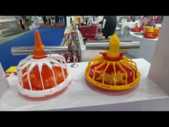 Büyük barakada tavuk ve ördek çiftliği için tam otomatik besleme makinesi vinç besleme hattı ekipmanı