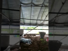 Özelleştirilmiş Otomatik Tavuk Çiftliği Besleyici Ekipman Gerilimi Ayarlanabilir