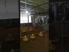 Özelleştirilmiş Otomatik Tavuk Çiftliği Besleyici Ekipman Gerilimi Ayarlanabilir